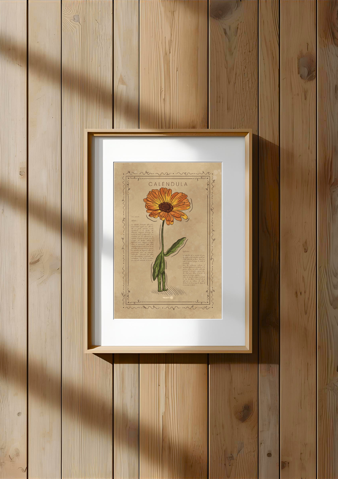 LA CALENDULA