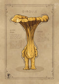 LA GIROLLE