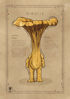 LA GIROLLE