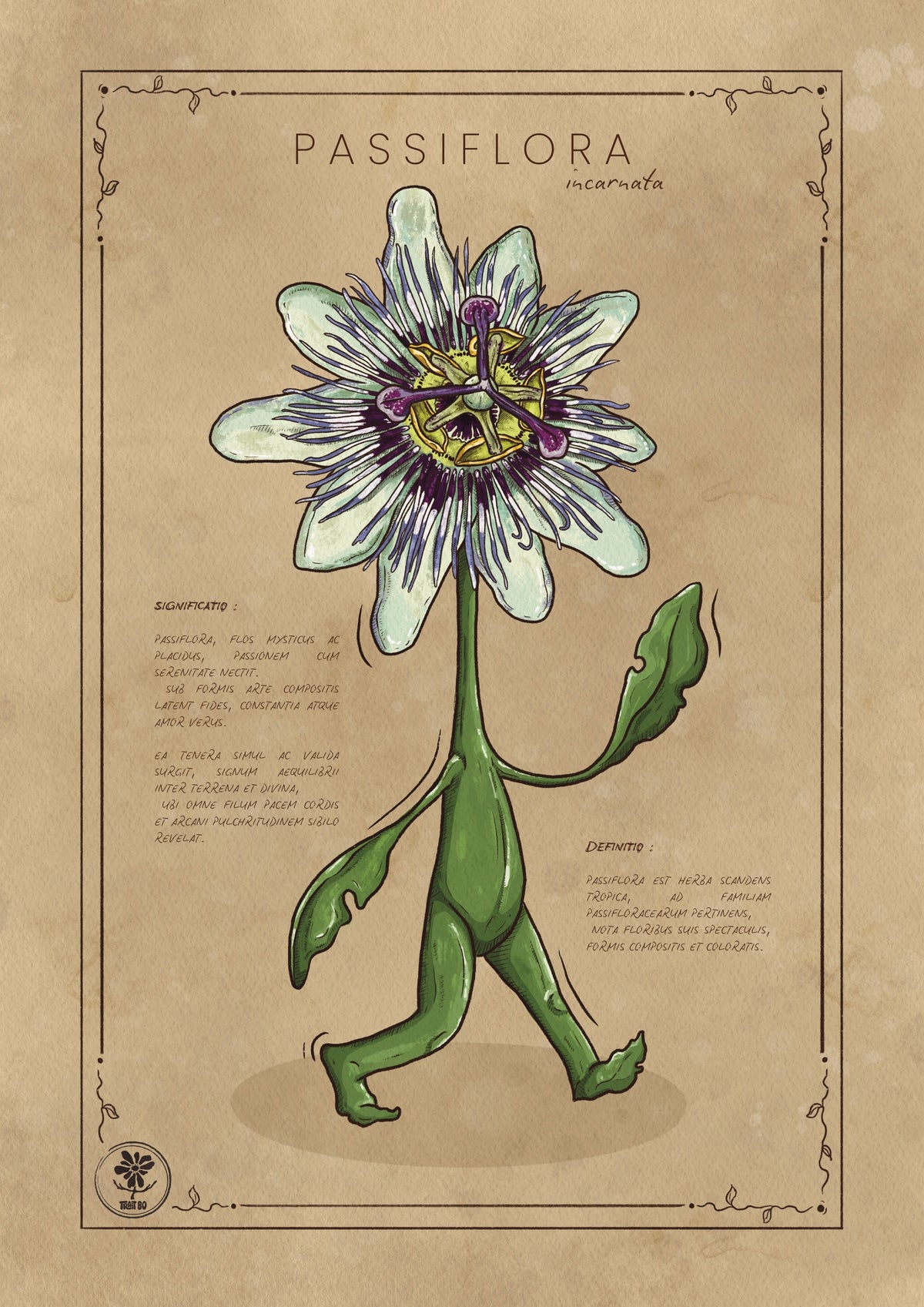 LA PASSIFLORA