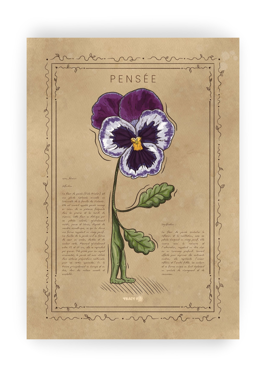 LA PENSÉE