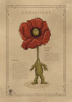 LE COQUELICOT