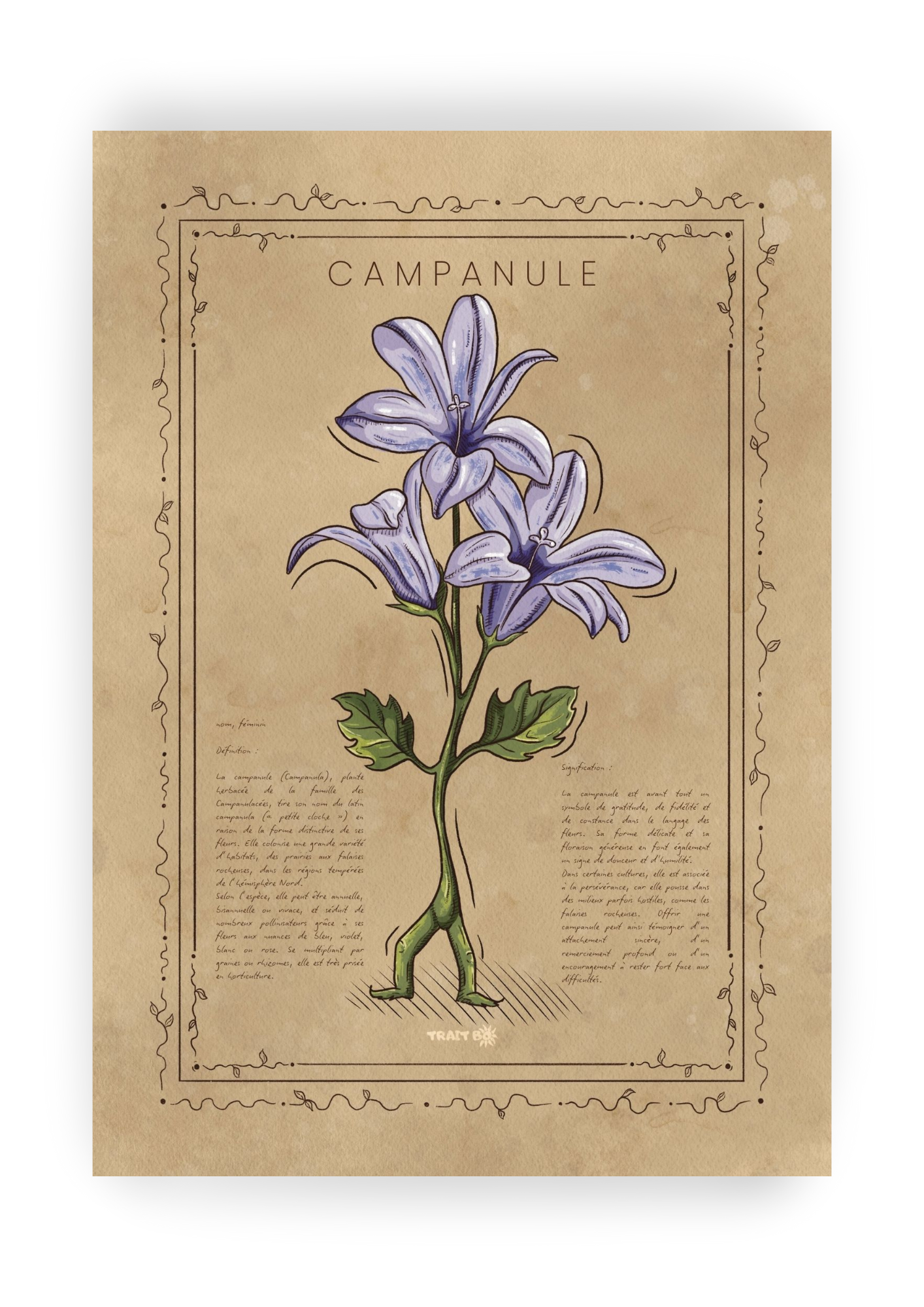 LA CAMPANULE