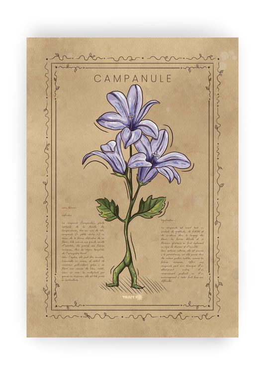 LA CAMPANULE