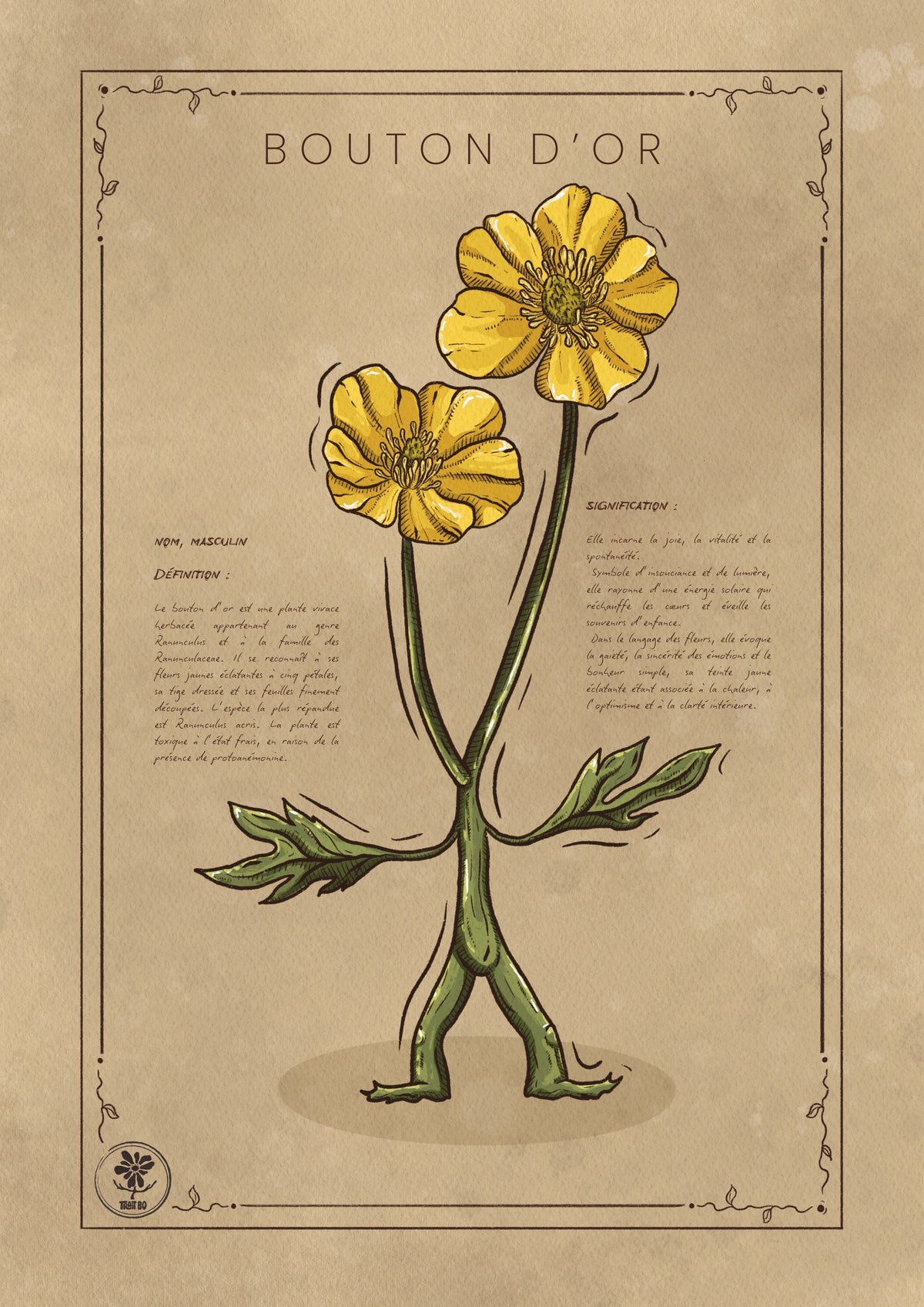 LE BOUTON D'OR