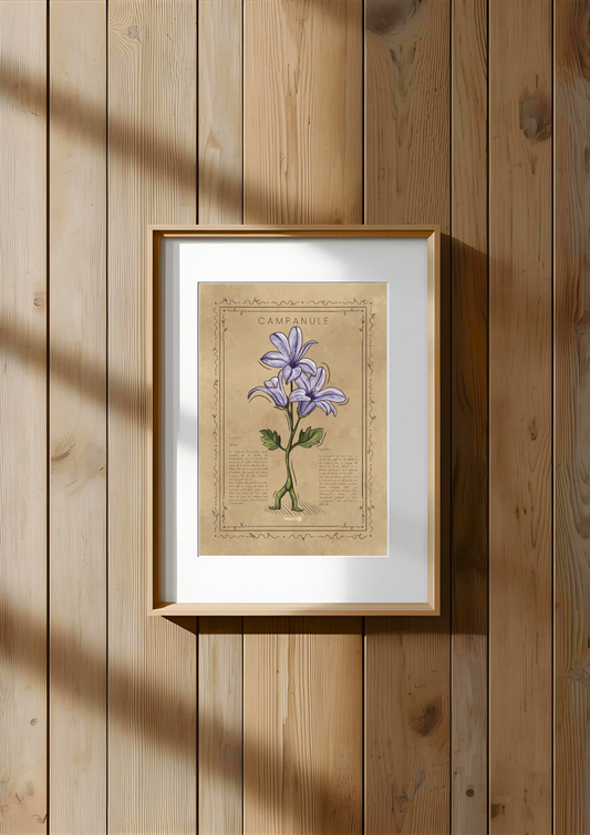 LA CAMPANULE
