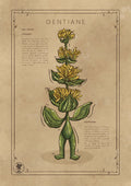 LA GENTIANE