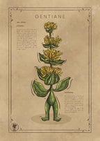 LA GENTIANE