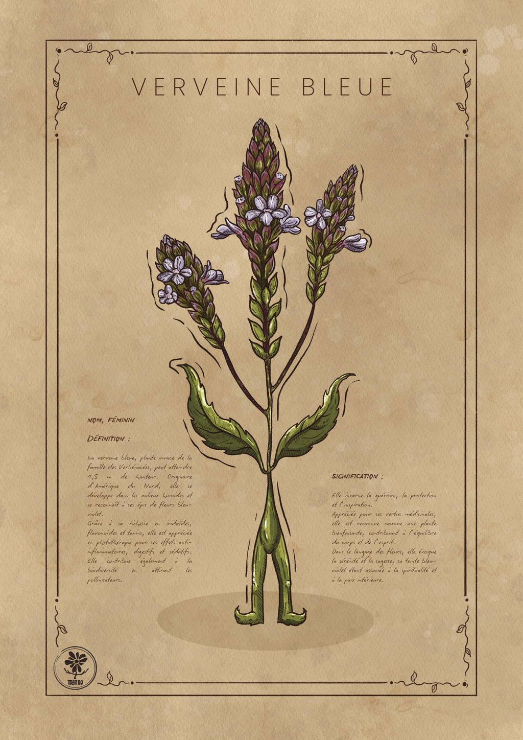 LA VERVEINE BLEUE