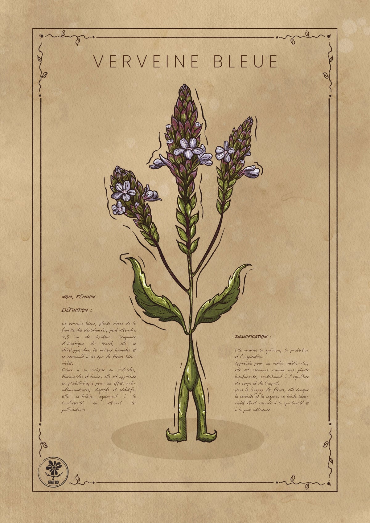 LA VERVEINE BLEUE