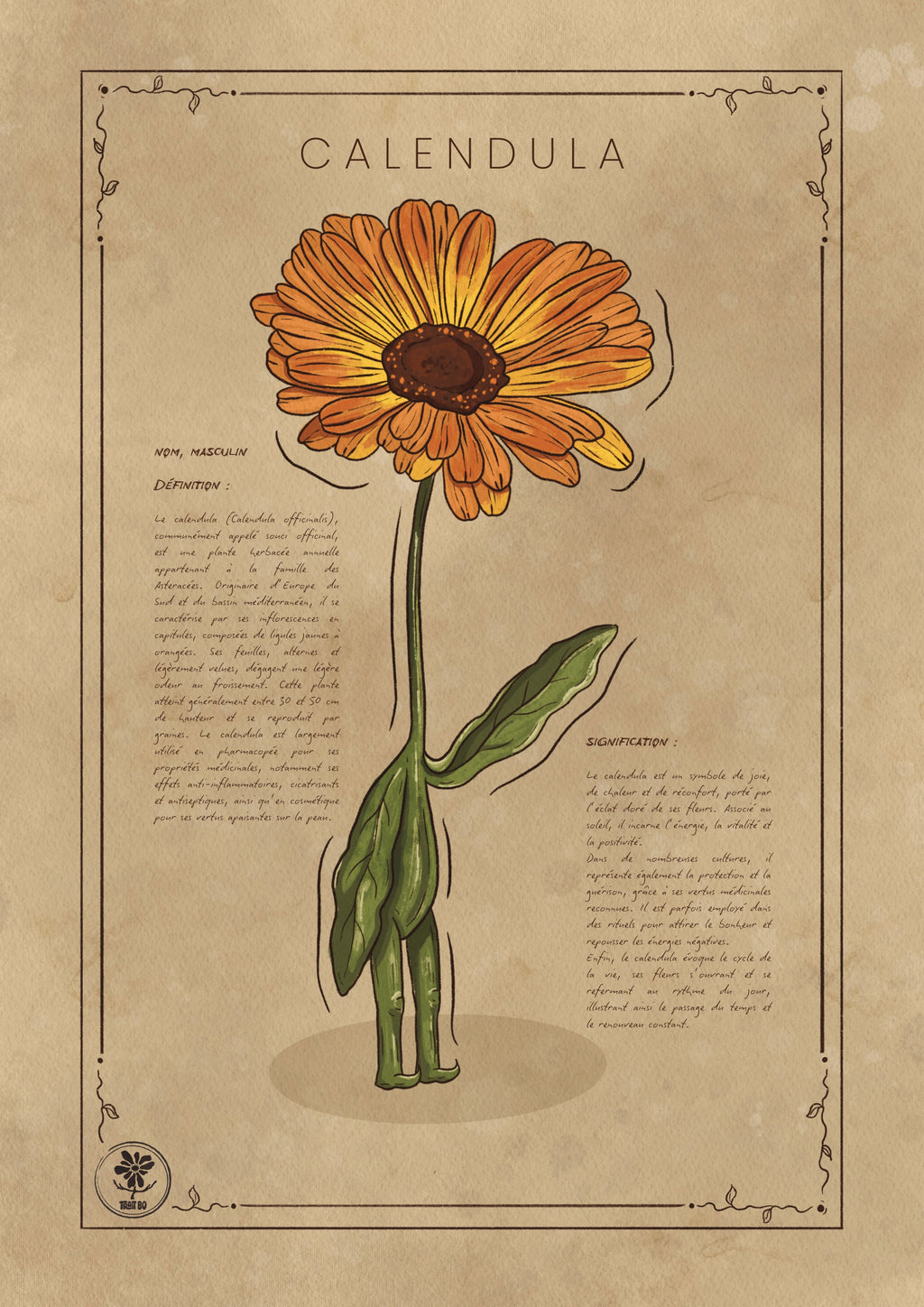 LA CALENDULA