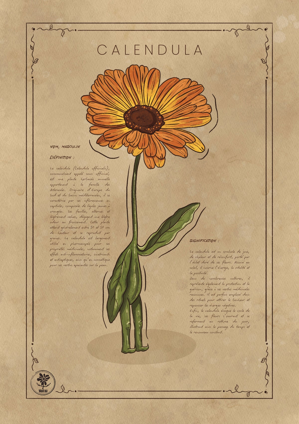LA CALENDULA