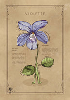 LA VIOLETTE