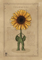 LE TOURNESOL
