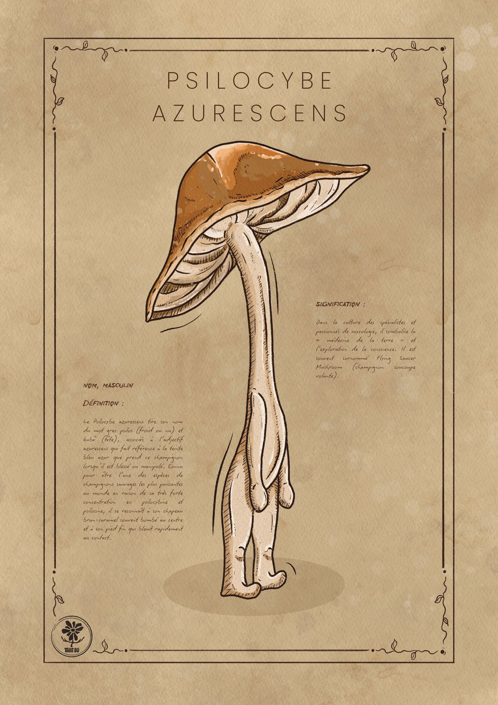 Le Psilocybe Azurescens