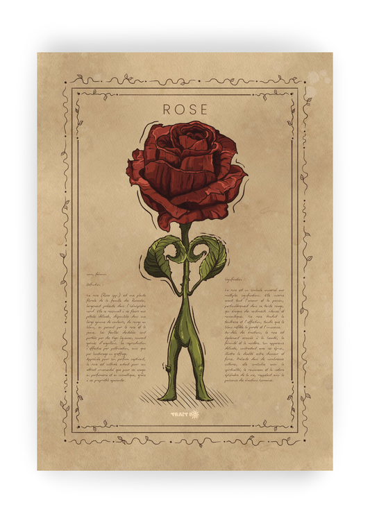 LA ROSE
