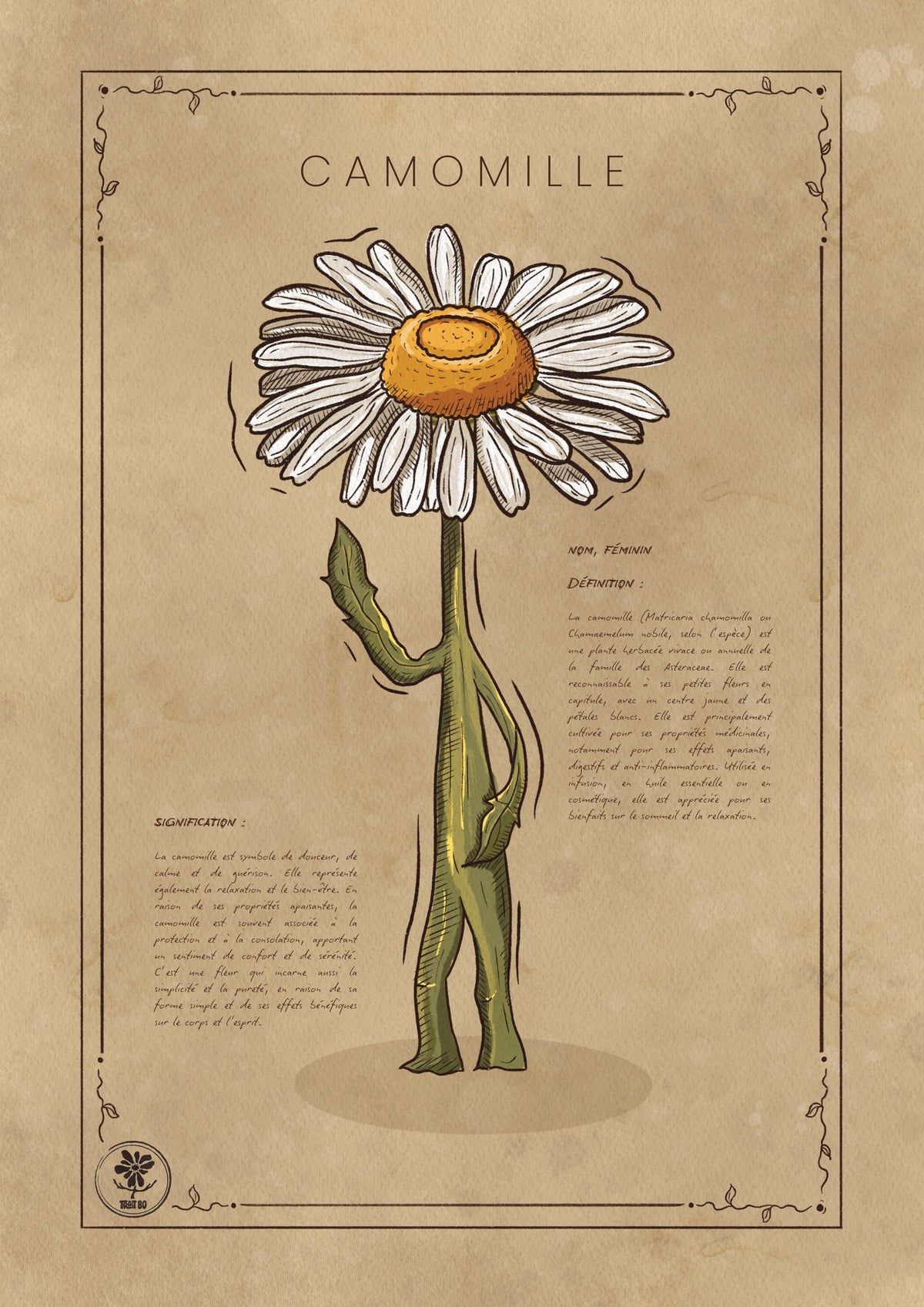 LA CAMOMILLE