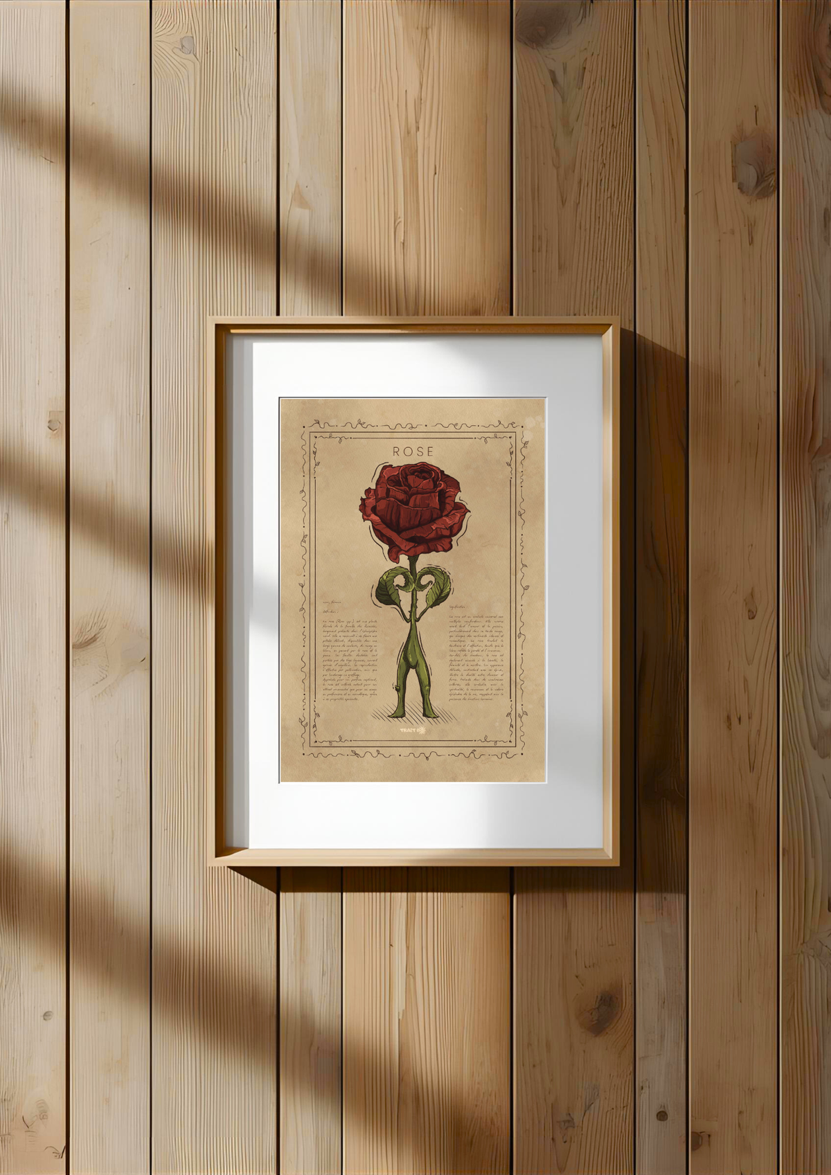 LA ROSE