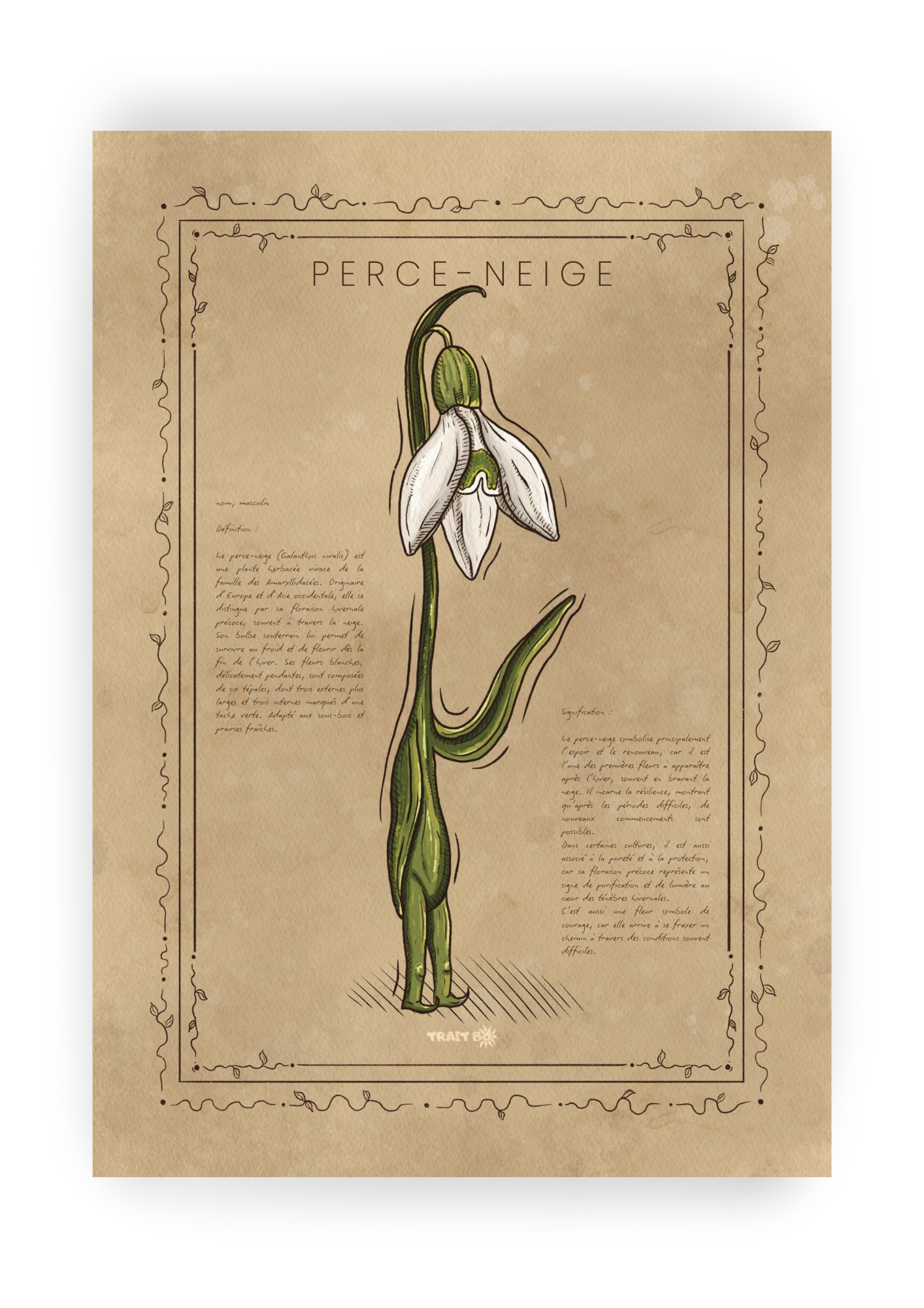 LE PERCE-NEIGE