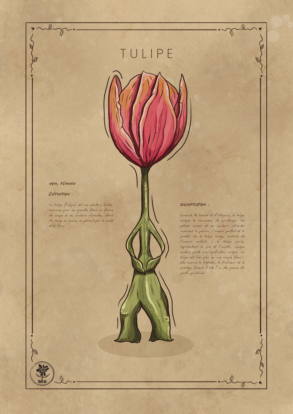 LA TULIPE