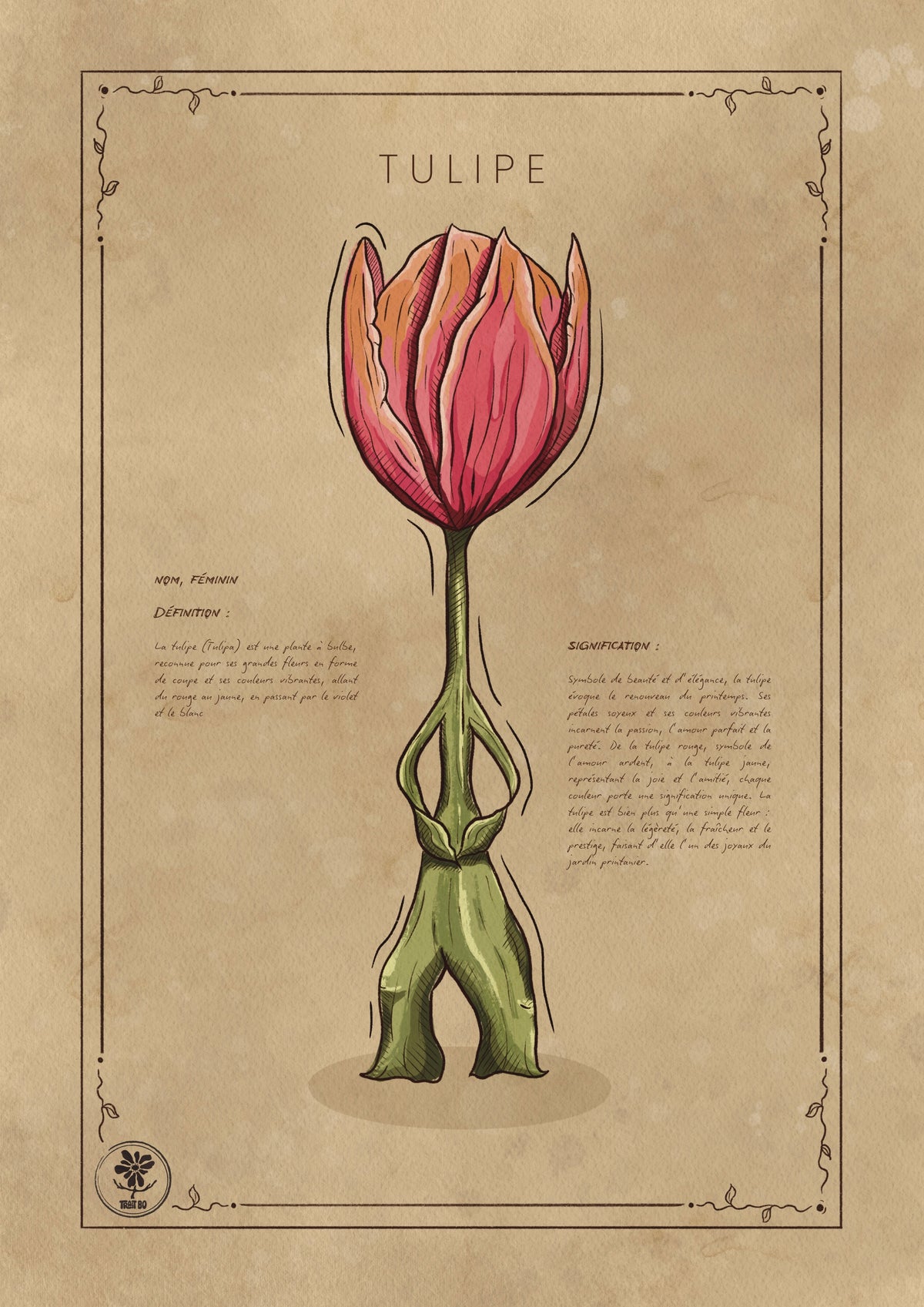LA TULIPE