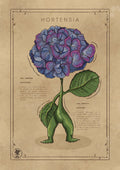 L'HORTENSIA