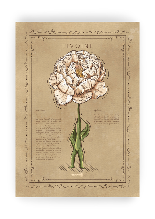 LA PIVOINE