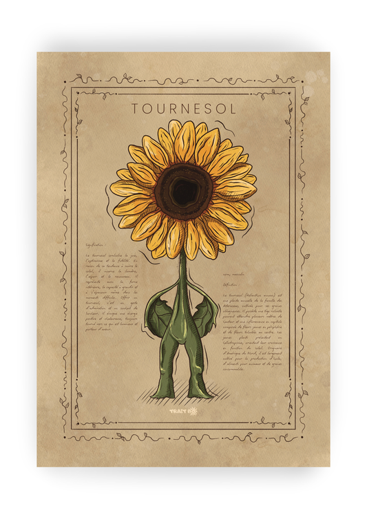LE TOURNESOL