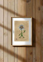 LA PASSIFLORA