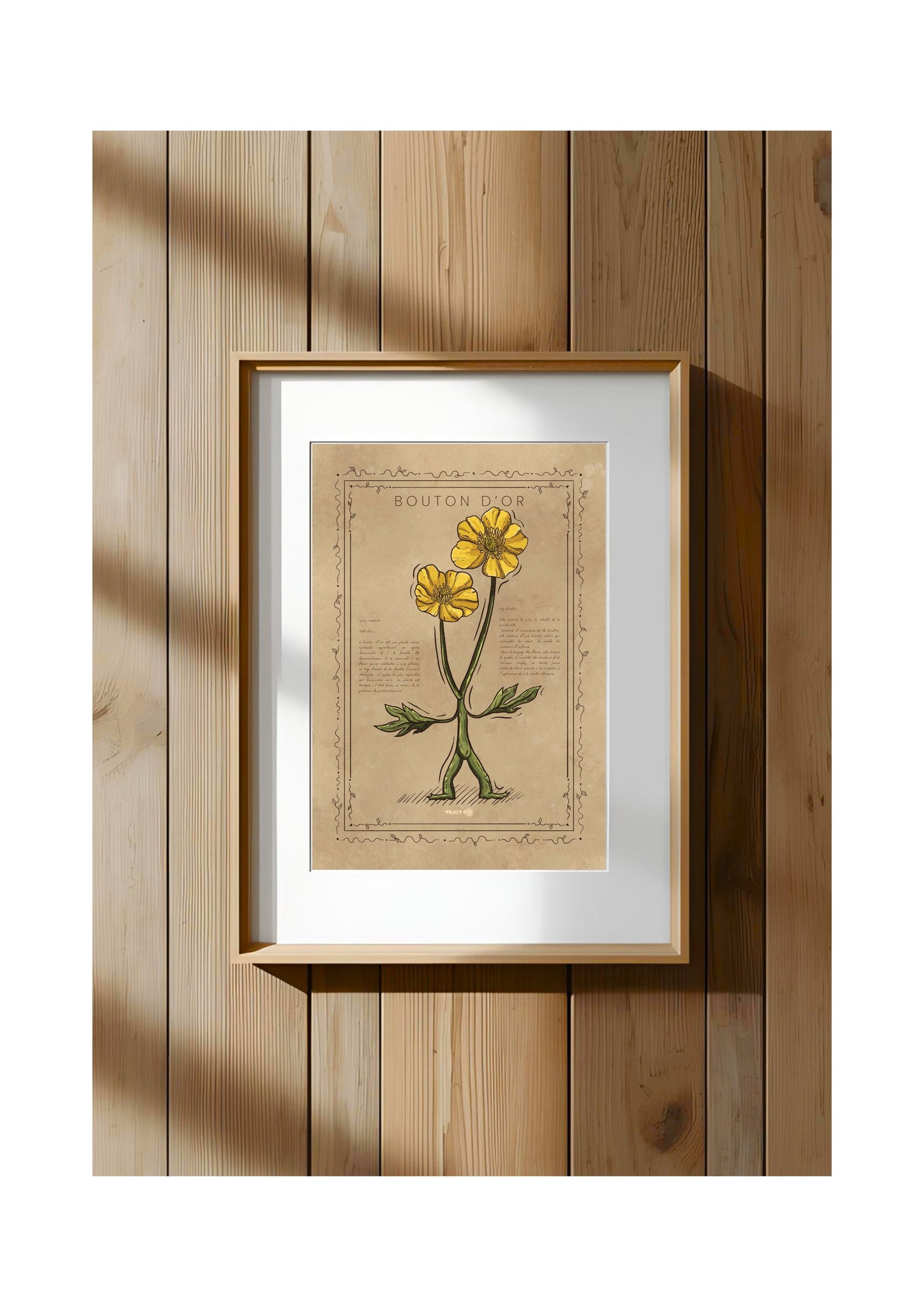 LE BOUTON D'OR