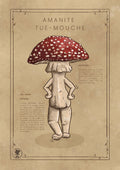 L'Amanite Tue-Mouche