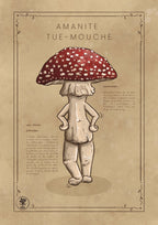 L'Amanite Tue-Mouche