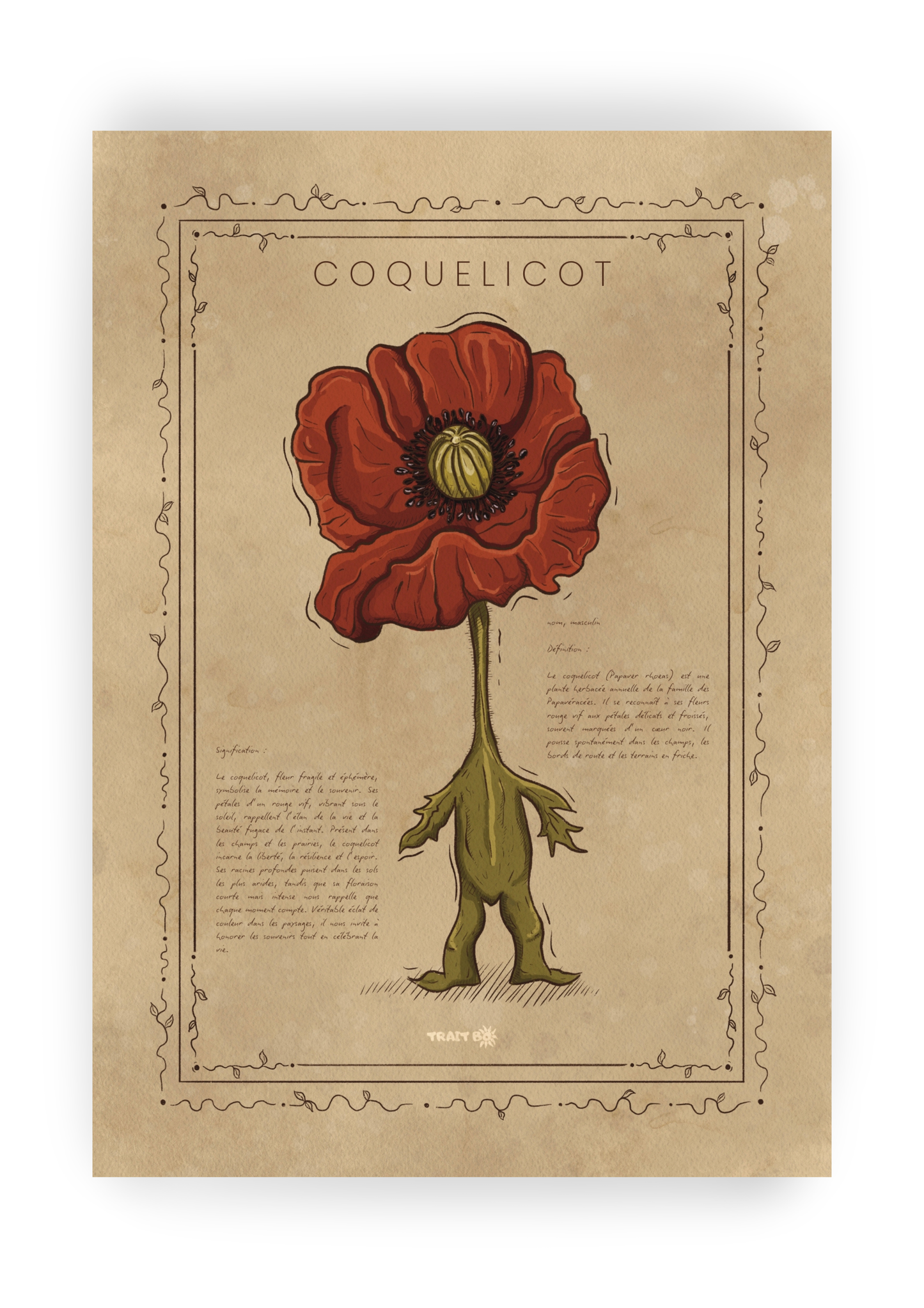 LE COQUELICOT