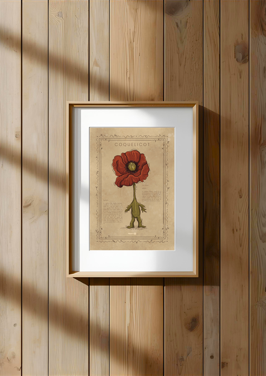 LE COQUELICOT