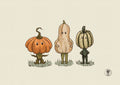 Titites Courges