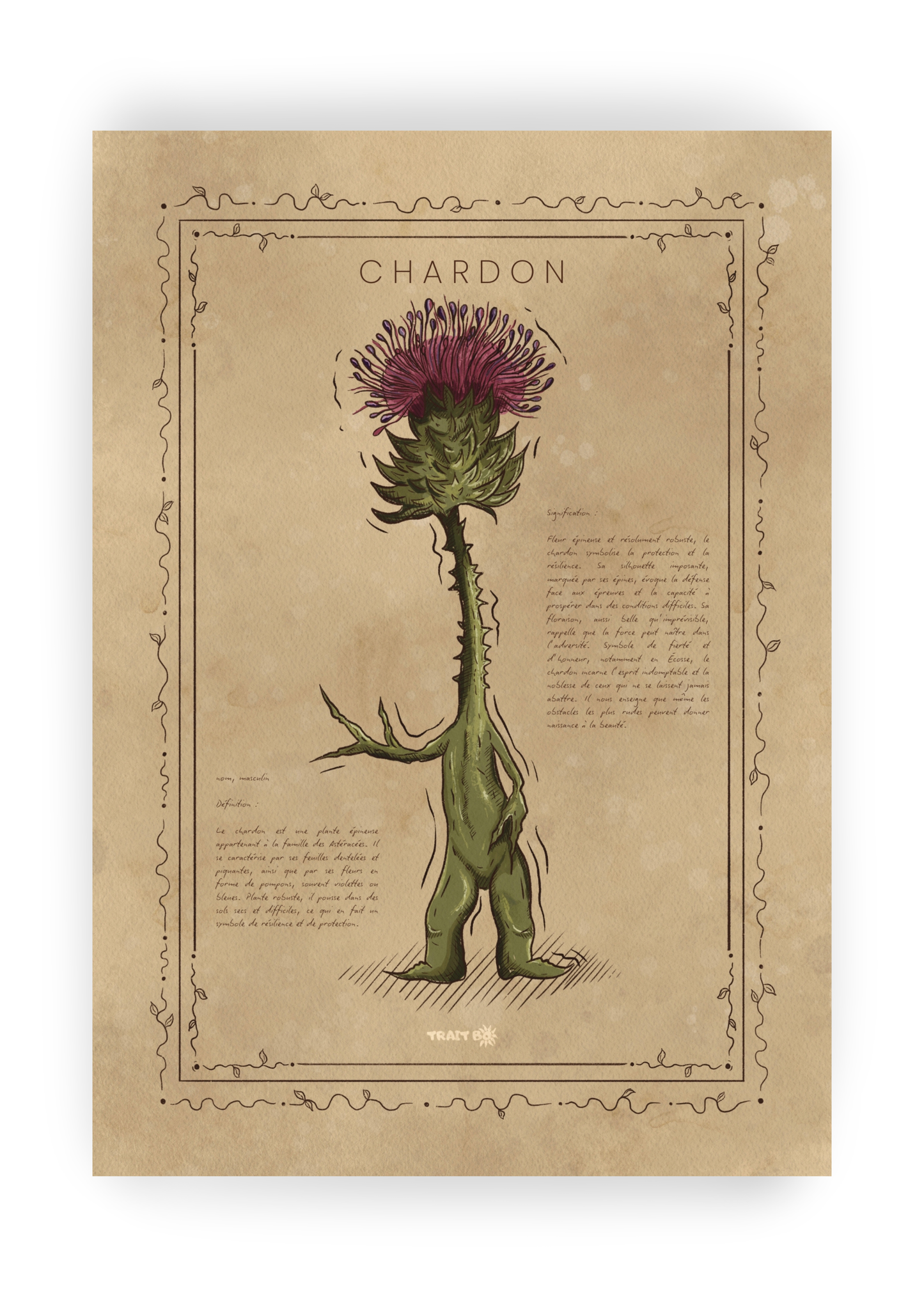 LE CHARDON