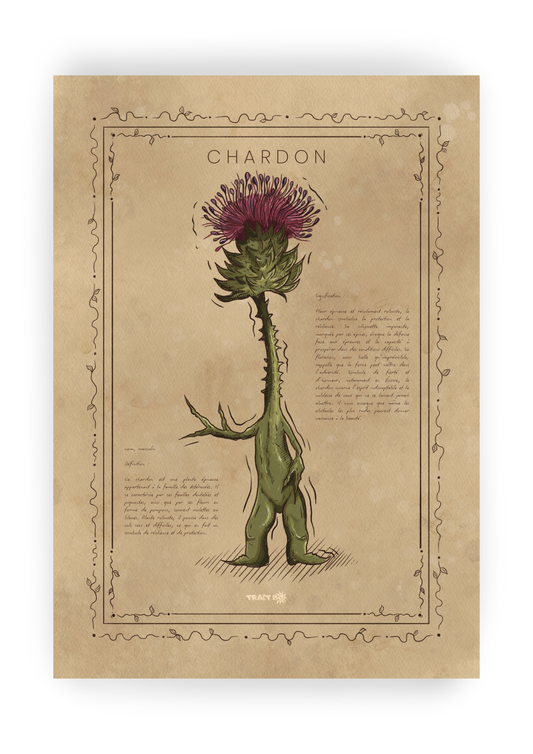LE CHARDON