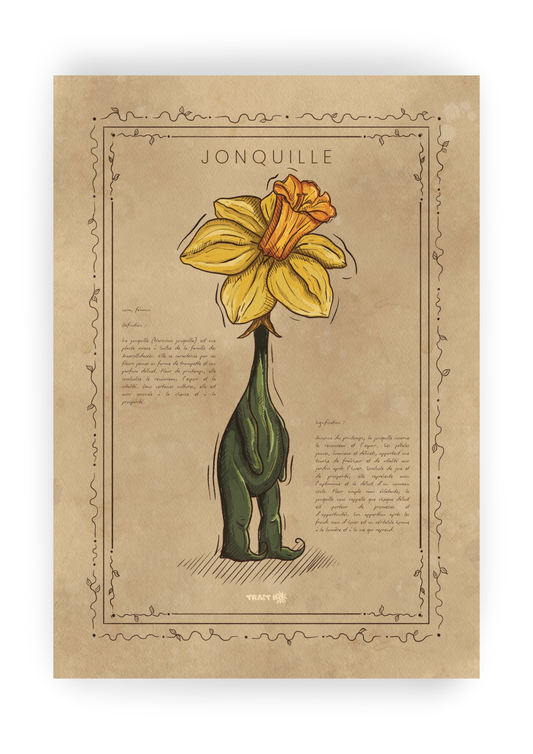 LA JONQUILLE
