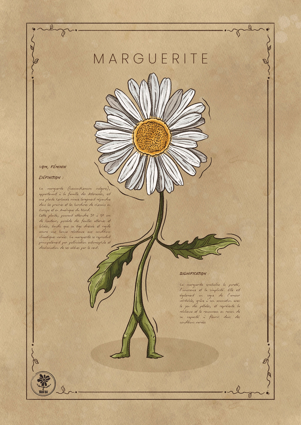 LA MARGUERITE