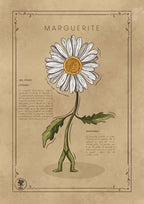 LA MARGUERITE