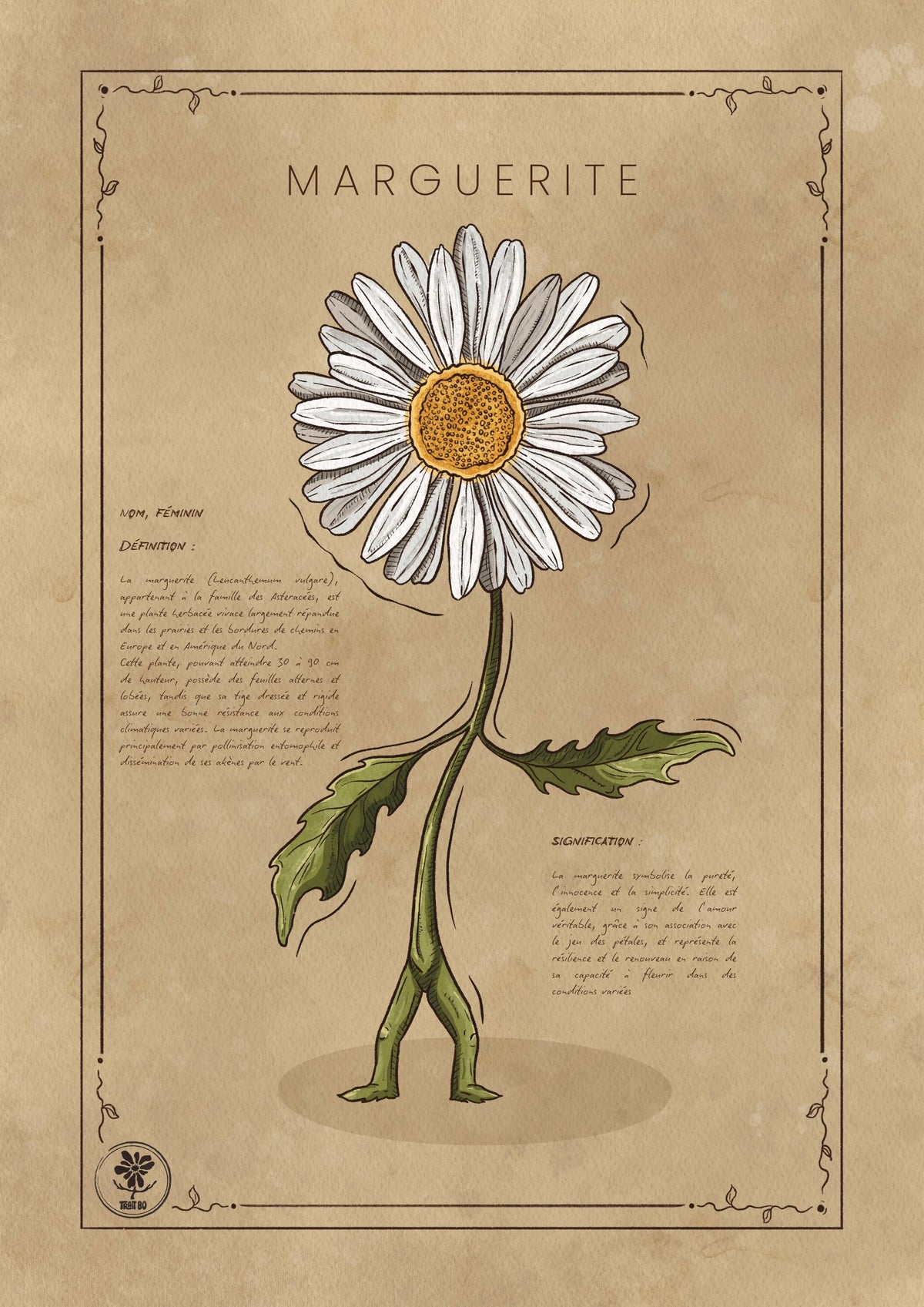 LA MARGUERITE
