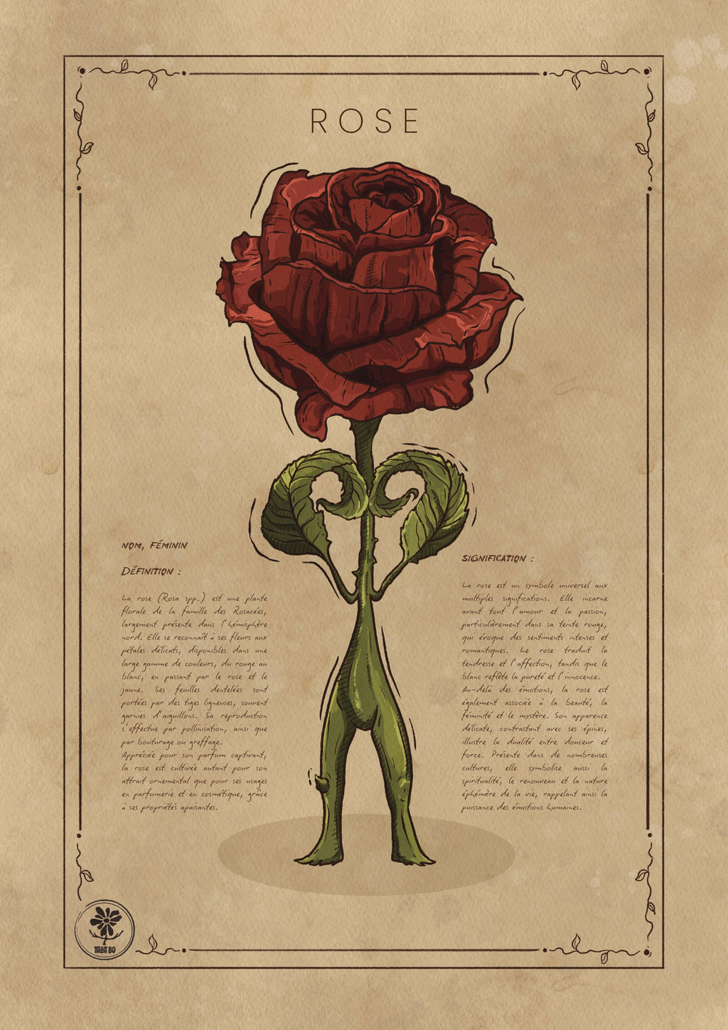 LA ROSE