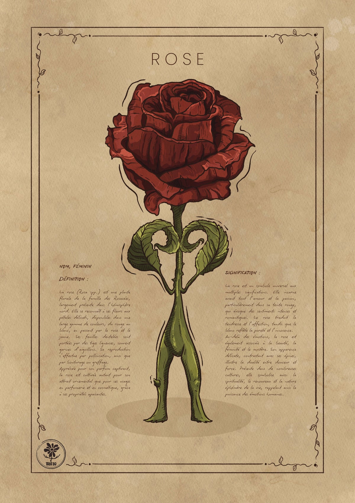 LA ROSE