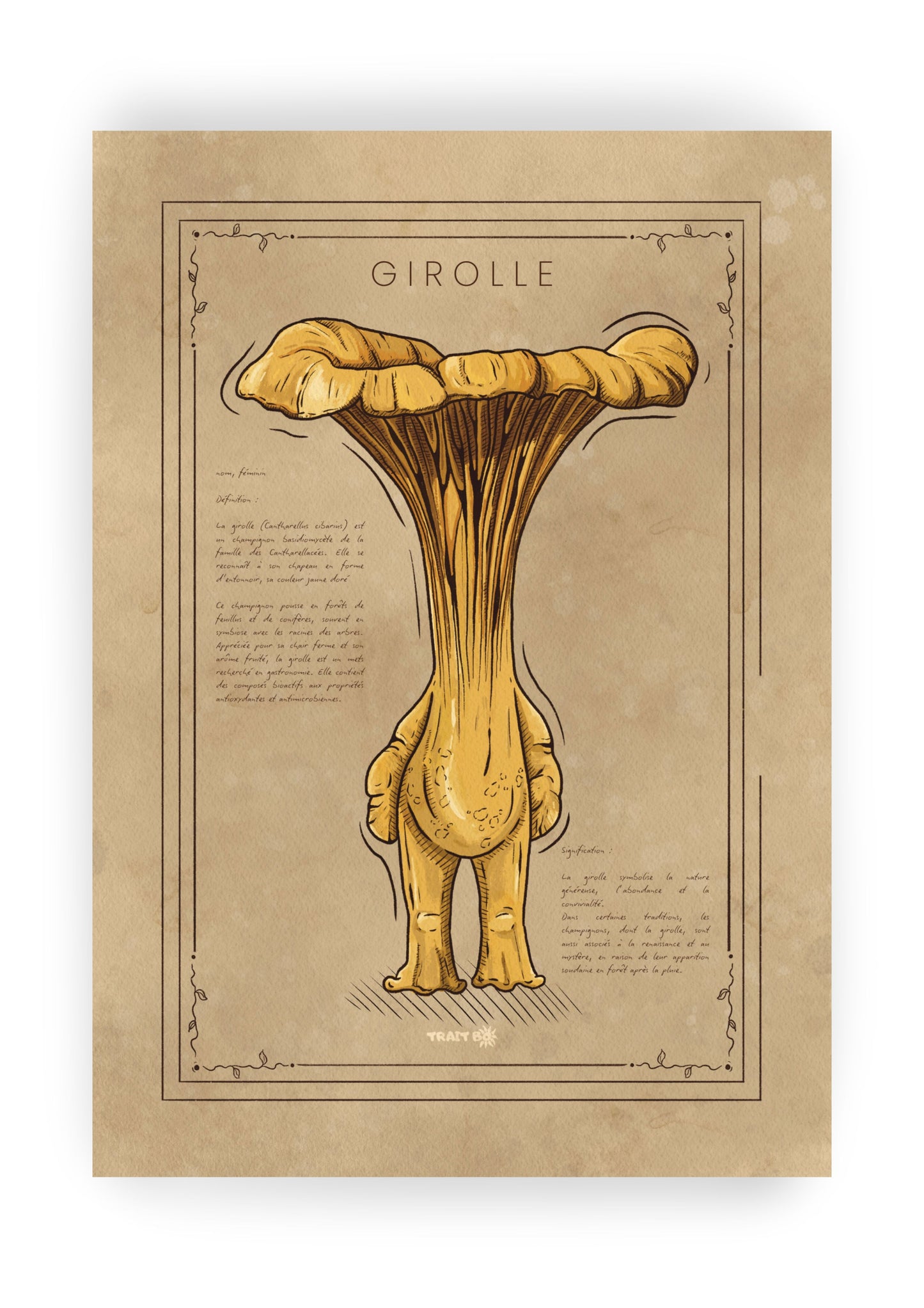 LA GIROLLE