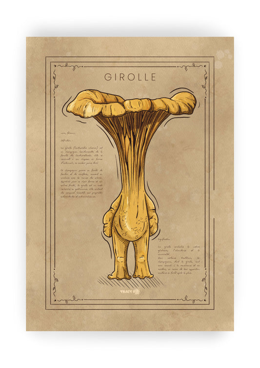 LA GIROLLE