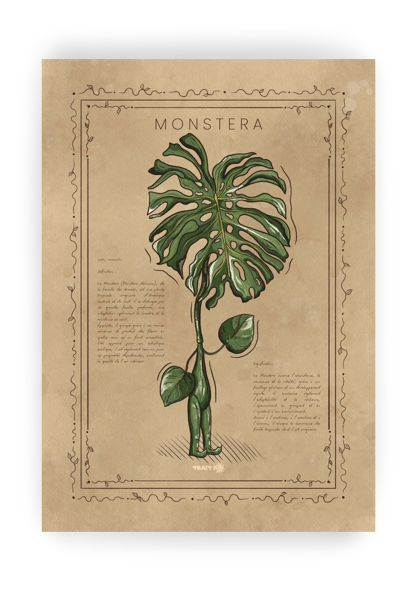 LA MONSTERA