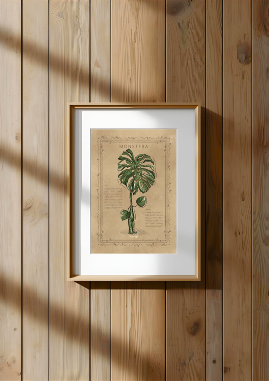 LA MONSTERA